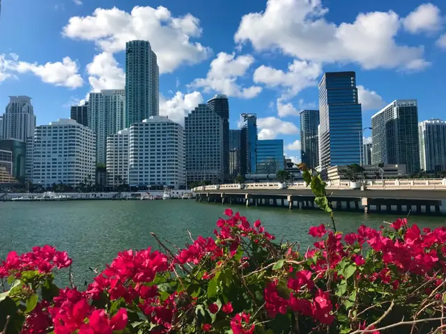 La bahía desde el paseo